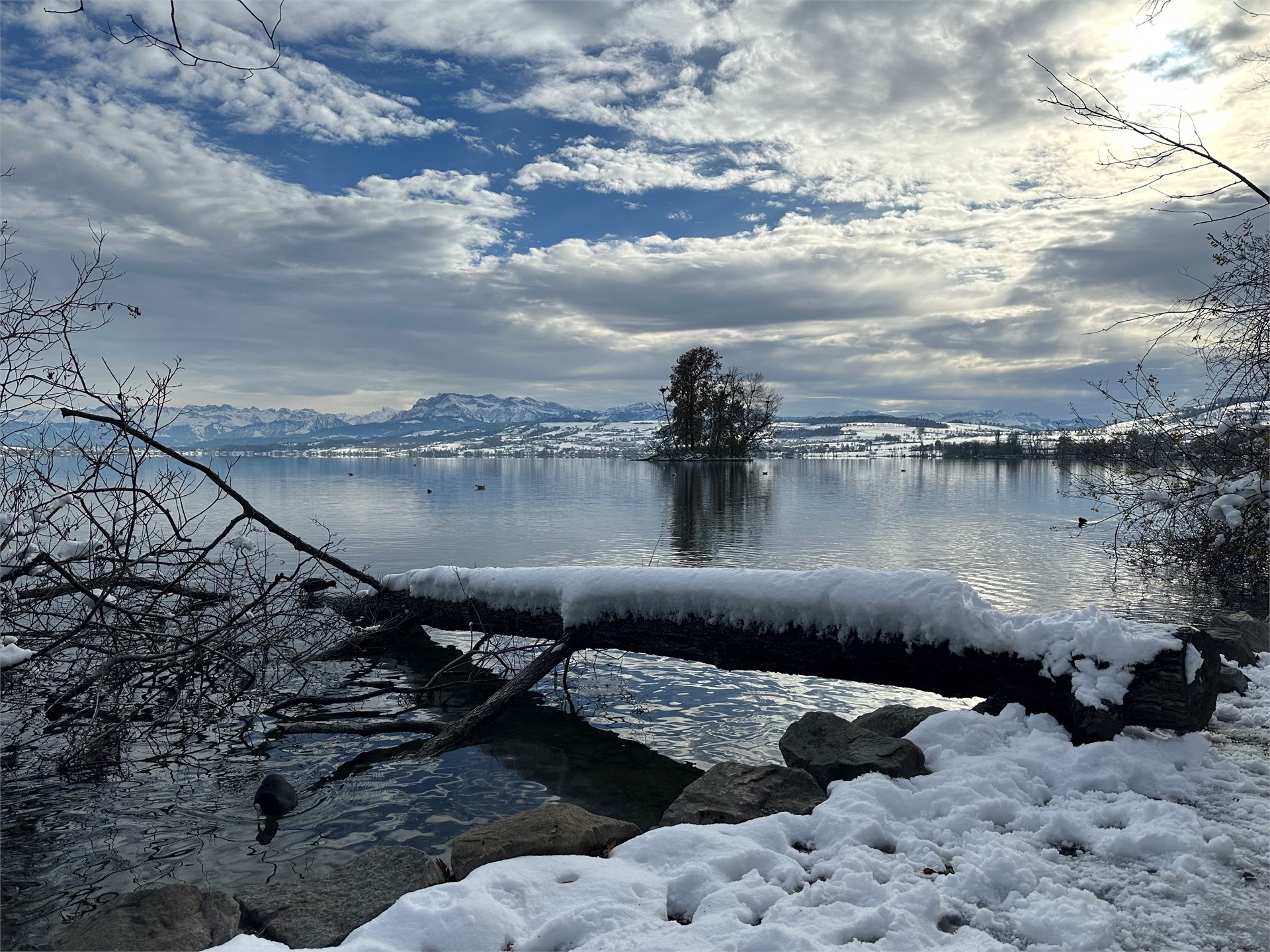 Centralgarage Sursee AG